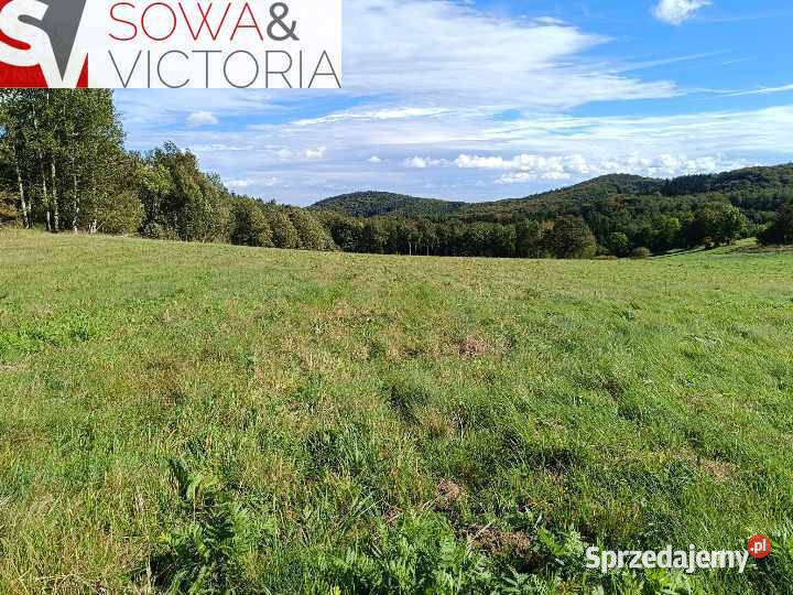 4 działki pod lasem w sąsiedztwie Boreczna Michałkowa