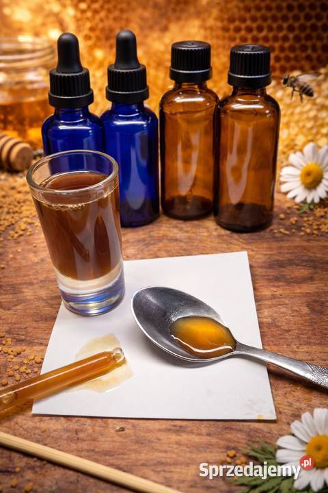Propolis kit pszczeli z własnej pasieki butelka Sędziszów Małopolski