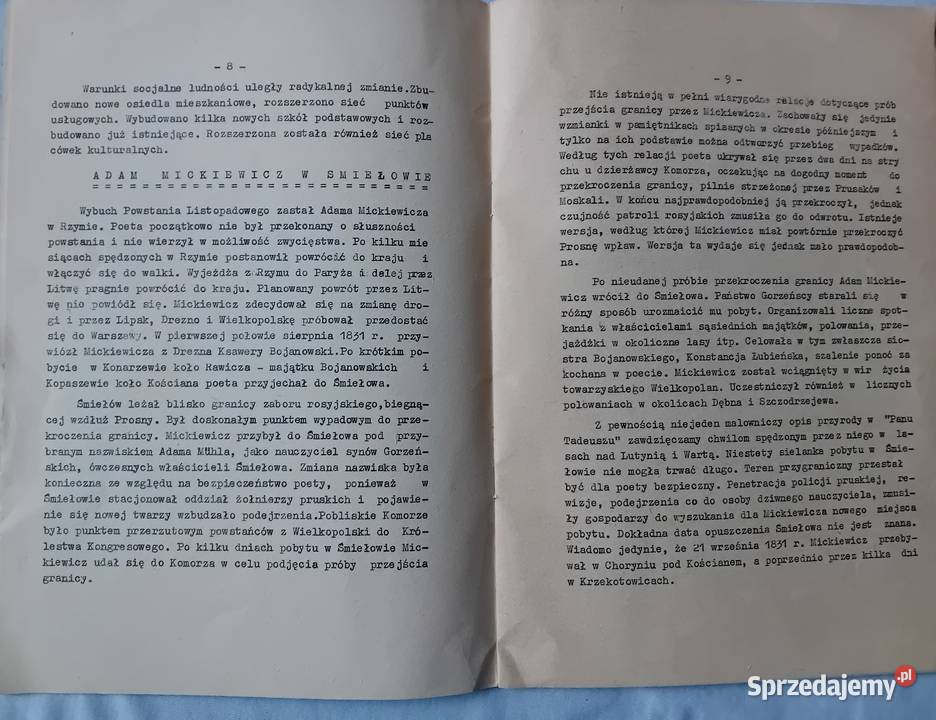 Żerków i Informacja turystyczna uczestników X Koźminek sprzedam