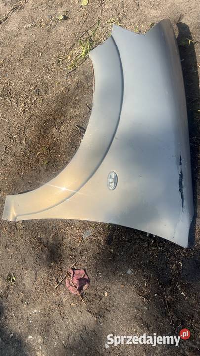 Blotnik przod lewy citroen c3 wielkopolskie Margonin