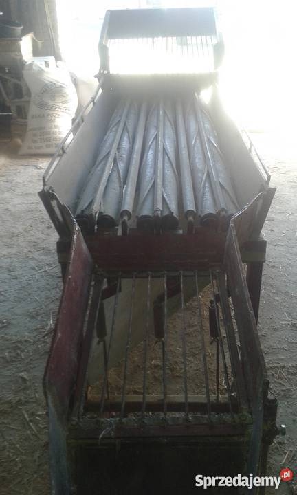 Czyszczarka do cebuli Maszyna do cebuli Obcinacz Pozostałe