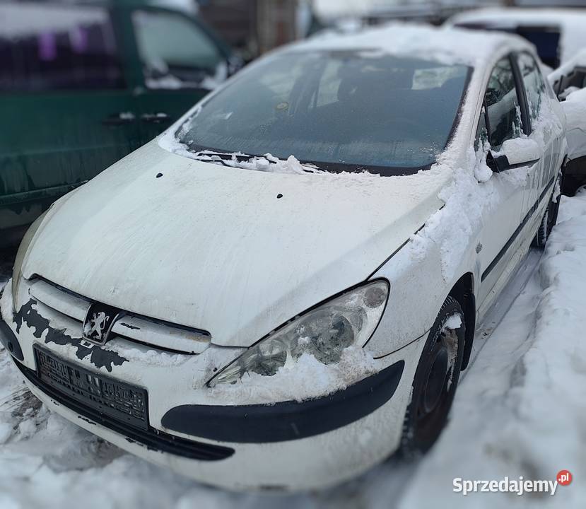 Peugeot 307 drzwi tylne lewe i prawe Żywiec