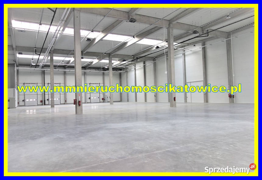 Lokal 710m2 Siemianowice Śląskie