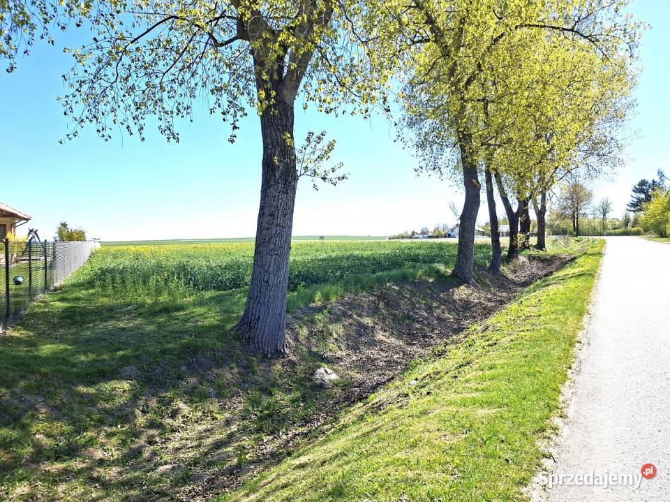 Grunt 1280m2 Skrzynice Pierwsze budowlana lubelskie