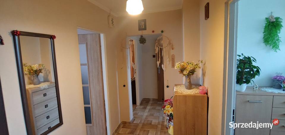 Mieszkanie na sprzedaż Kusice 3 pokoje z Sprzedaż