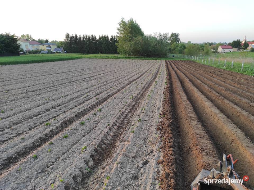 Formownica Forma do ziemniaków nieuszkodzony Rzeszów sprzedam