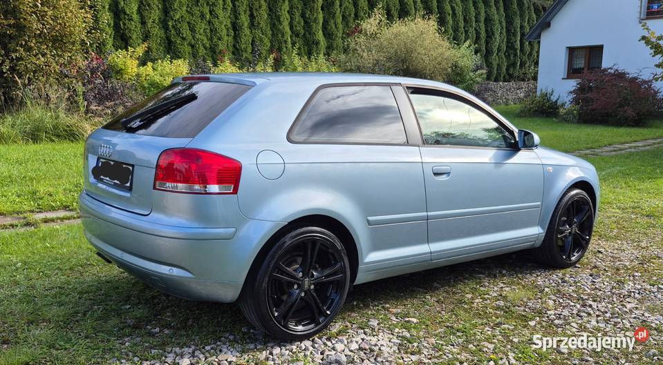 Audi a3 8p 19 tdi 2007 nieuszkodzony Kielce