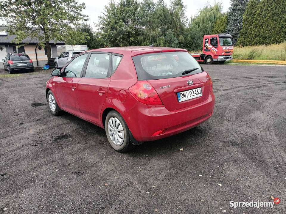 Kia Ceed Kia Ceed 16 CRDI 115 08r I 20062012 nieuszkodzony Tarnów