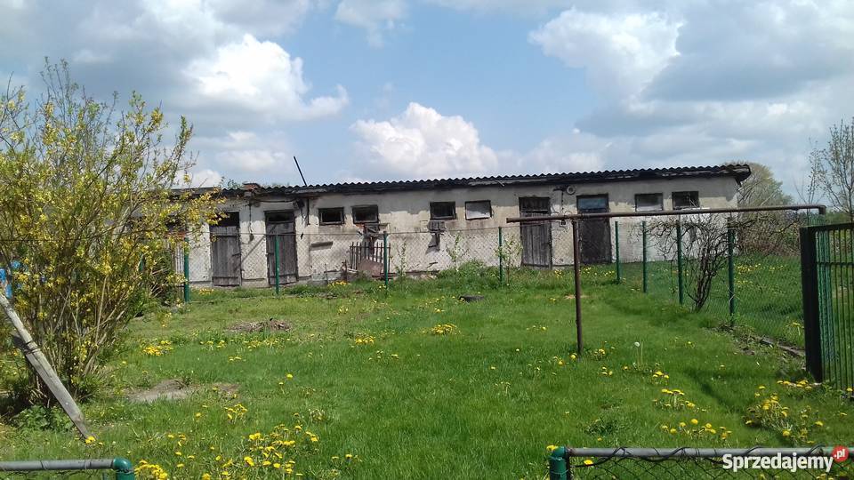 sprzedam ogródek Pęchery