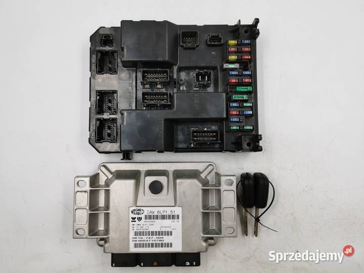 Sterownik Silnika Peugeot 307 20 RFN 9654716780 Wyszków