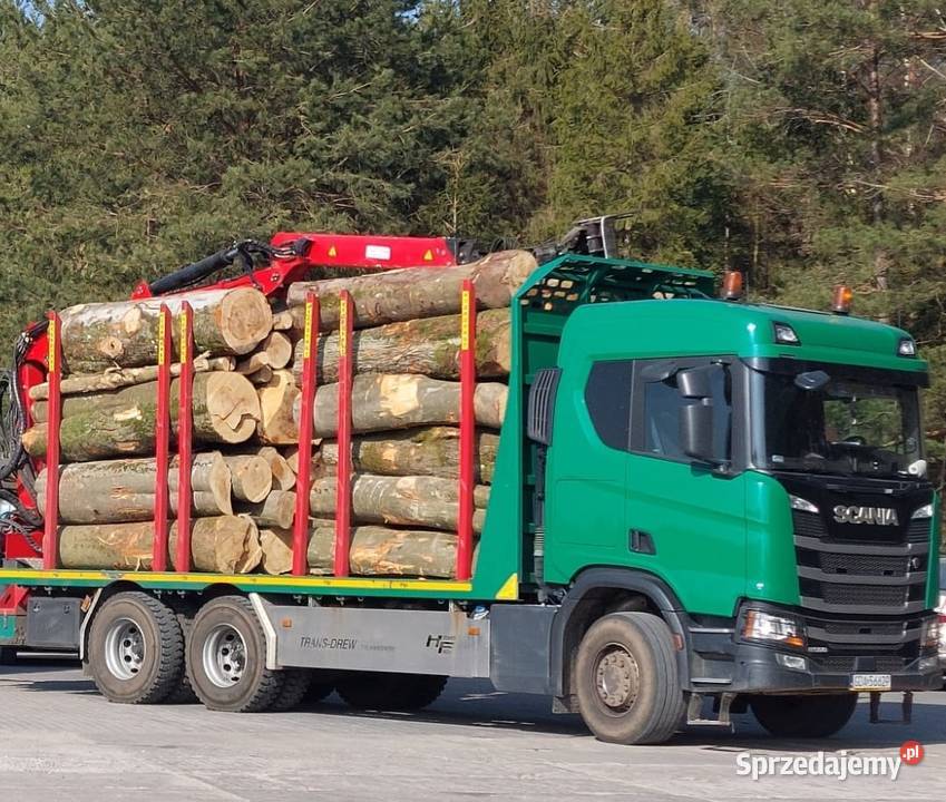 Sprzedam drewno w wałkach buk dąb grab bądź Linia
