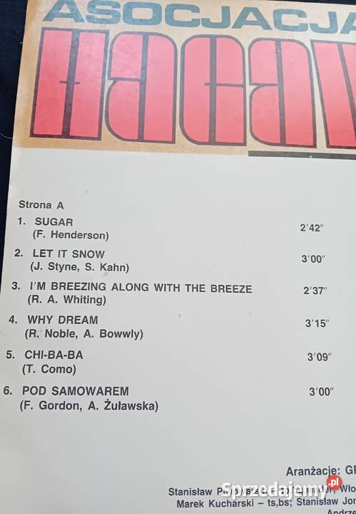LP Please Asocjacja Hagaw PNMuza 1985 r SX 2223 Koźminek