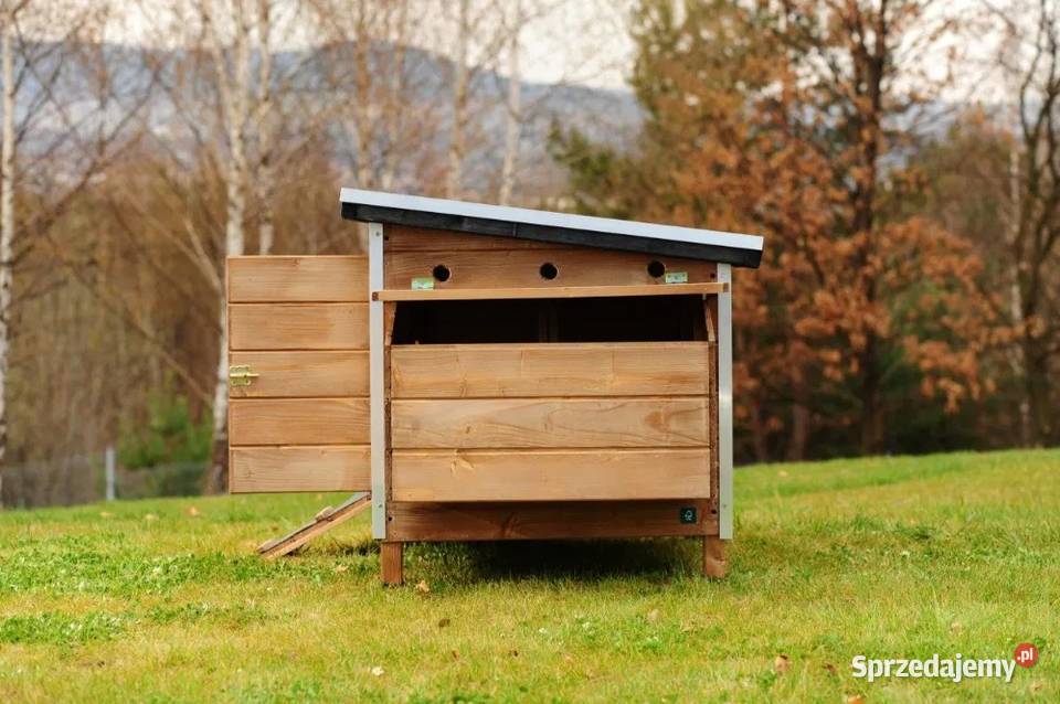 Kurnik szary Rocky 45 kur PROMOCJA małopolskie Trzemeśnia