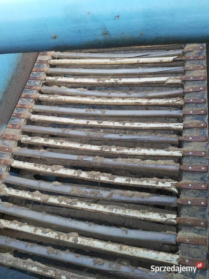 Kombajn Bolko posiada też przystawkę do cebuli Nielubia