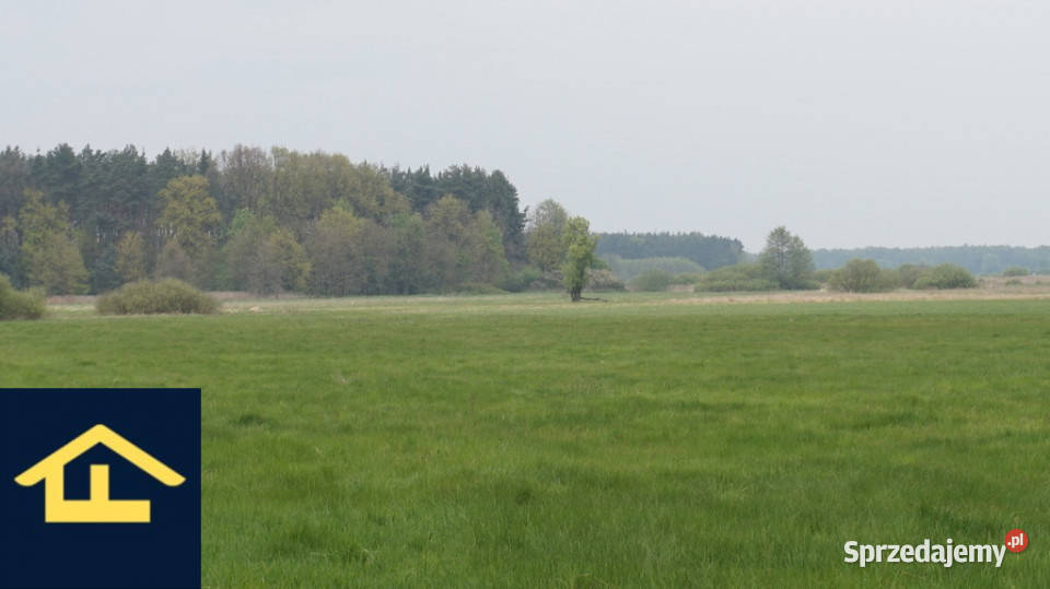 Nieruchomość w Całowaniu Całowanie