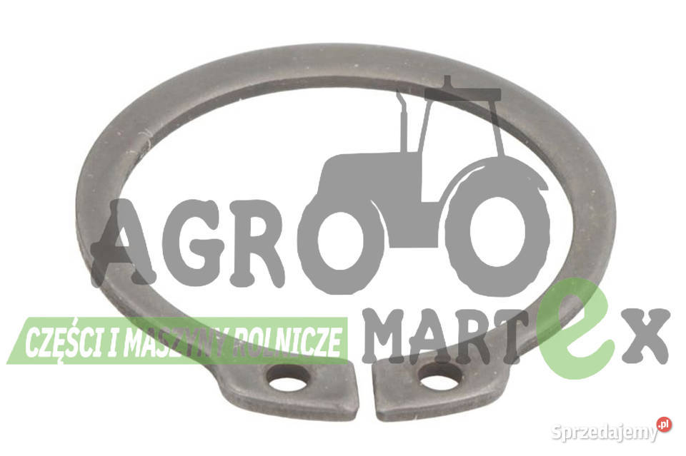 82100494 82100494 ZABEZPIECZENIE SEGER JCB Wichrów