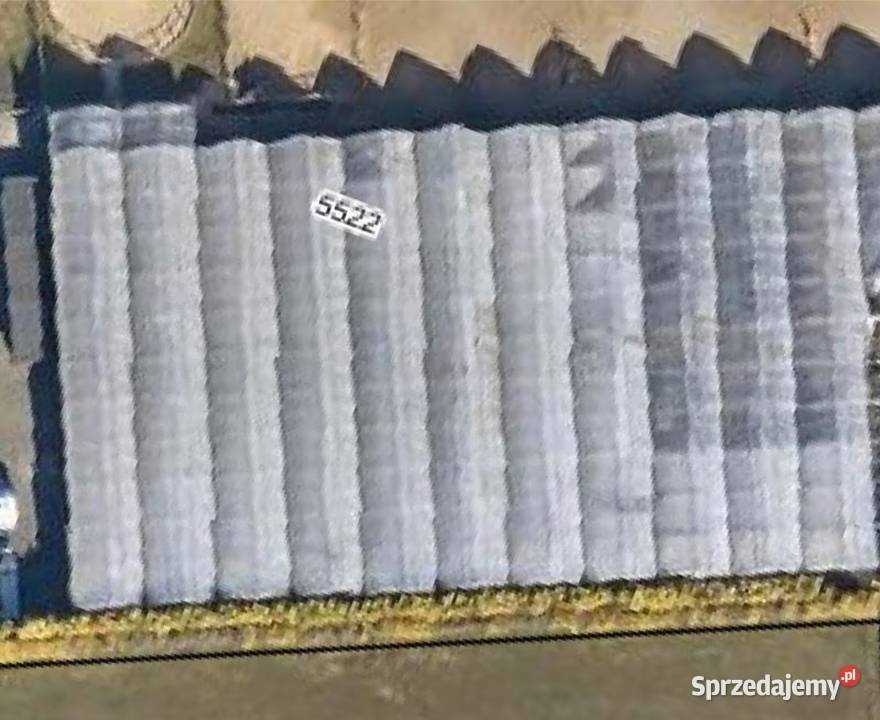 Szklarnia tunel foliowy 5500m2 Tunele foliowe Siedlce