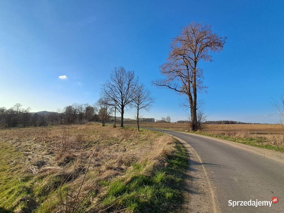 Działka budowlana w górach