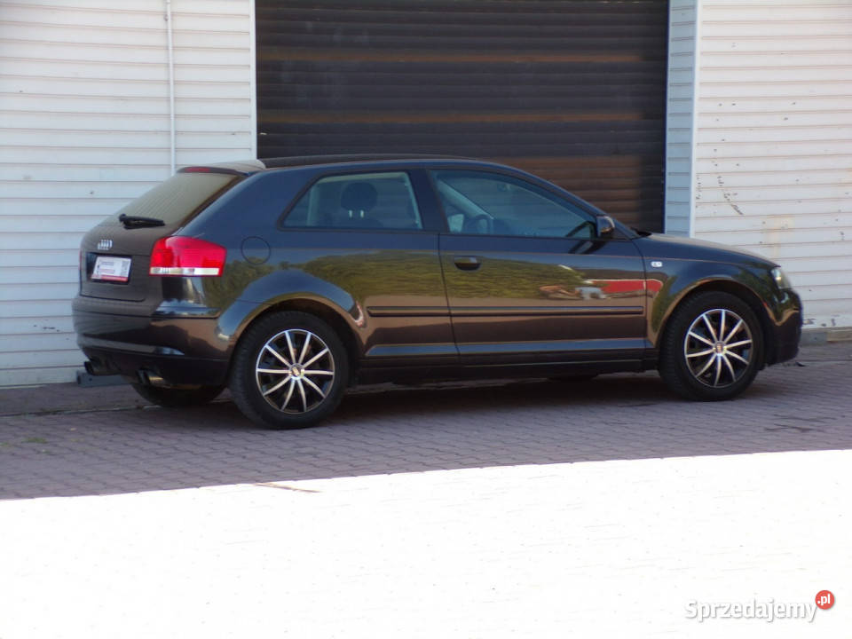 Audi A3 3drzwiowe Klimatronic BOSE 16 mpi 102 8P ESP