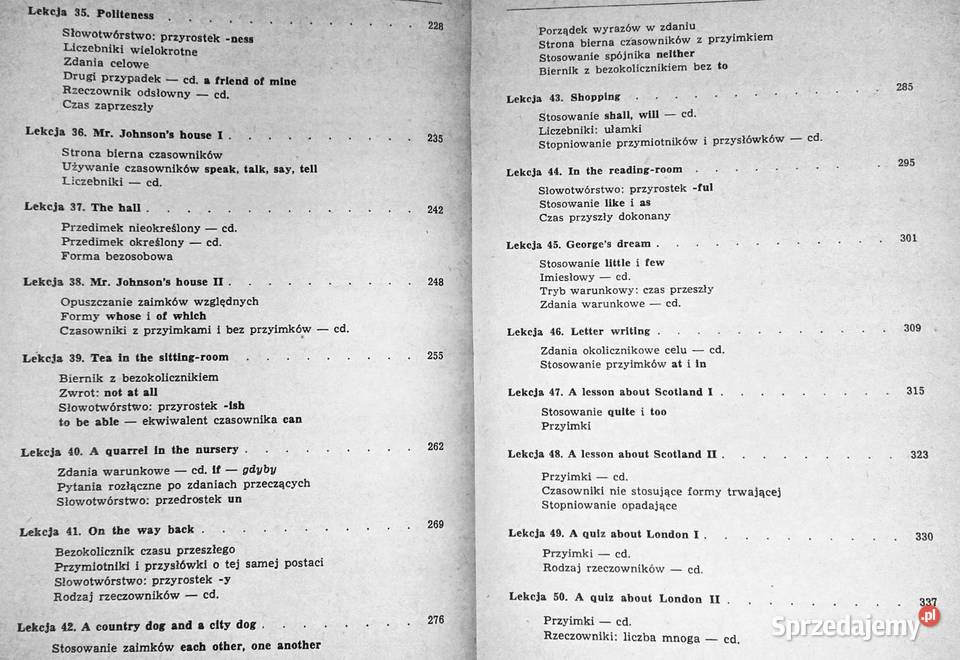 Język angielski początkujących Irena Dobrzycka Pozostałe Chełm