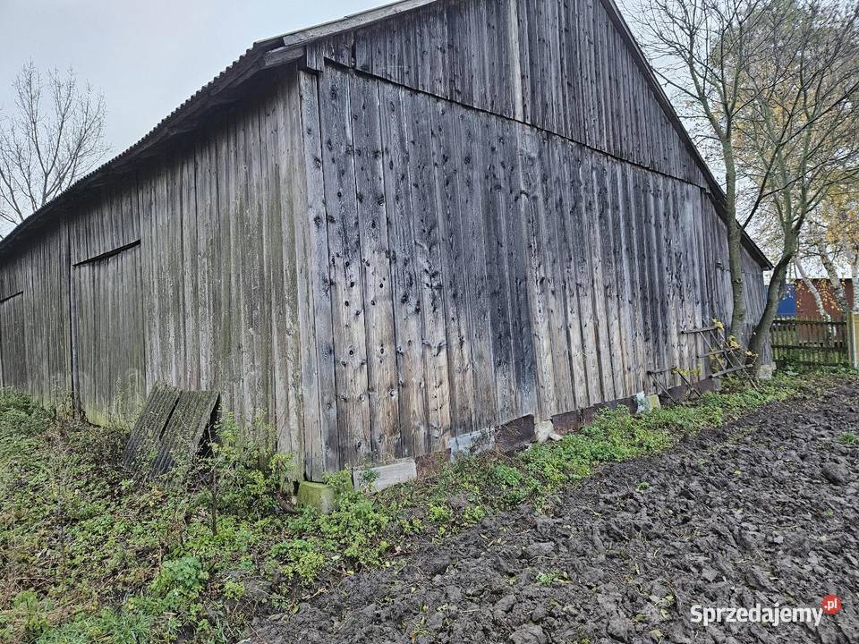 Skup starych desek skup starego drewna skup Kraśnik