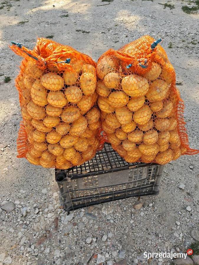 Ziemniaki smaczne Nieżywięć