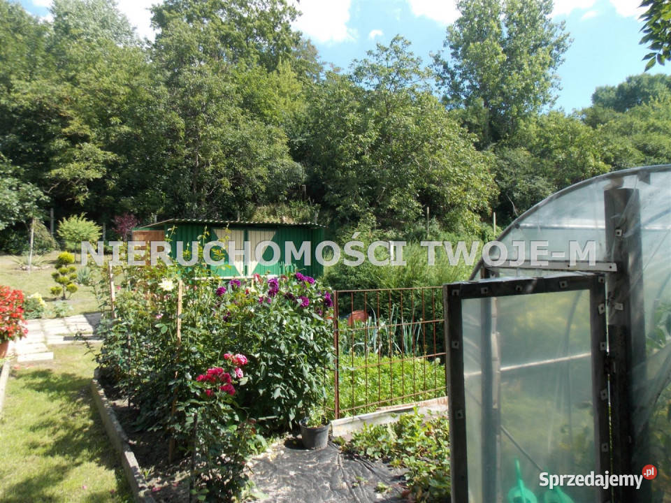 Grunt 490m2 Ostrowiec Świętokrzyski prąd