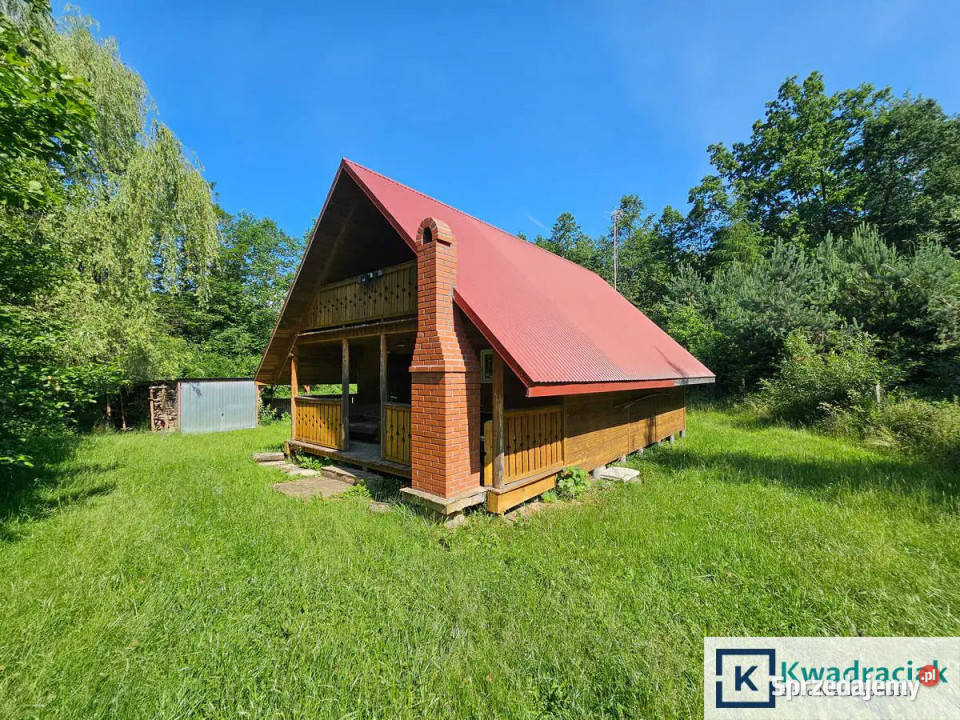 Działka Pietrusza Wola 19200m2 sprzedam