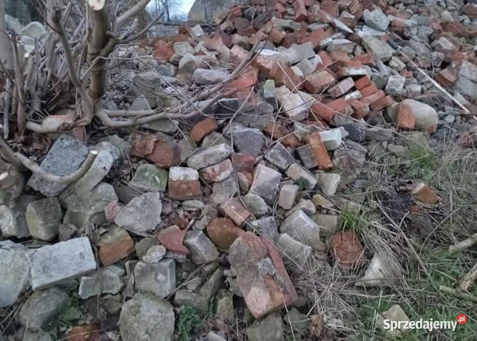 Oddam gruz 1 dostępny zaraz Złotniki Kujawskie