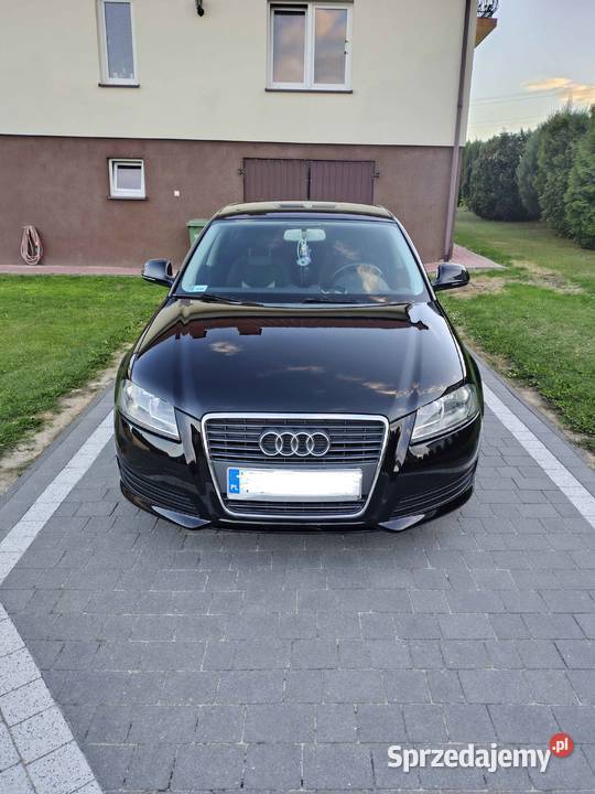 Audi A3 8p 2009 świętokrzyskie Opatów