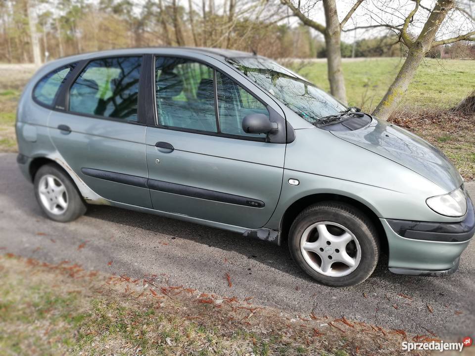 Renault Megane Scenic 1.6 benzyna 1998 Gniewkowo