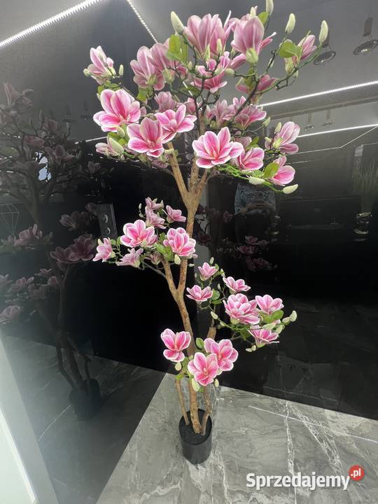 Sztuczne drzewko magnolii 180 Sztuczne kwiaty i owoce Golkowice