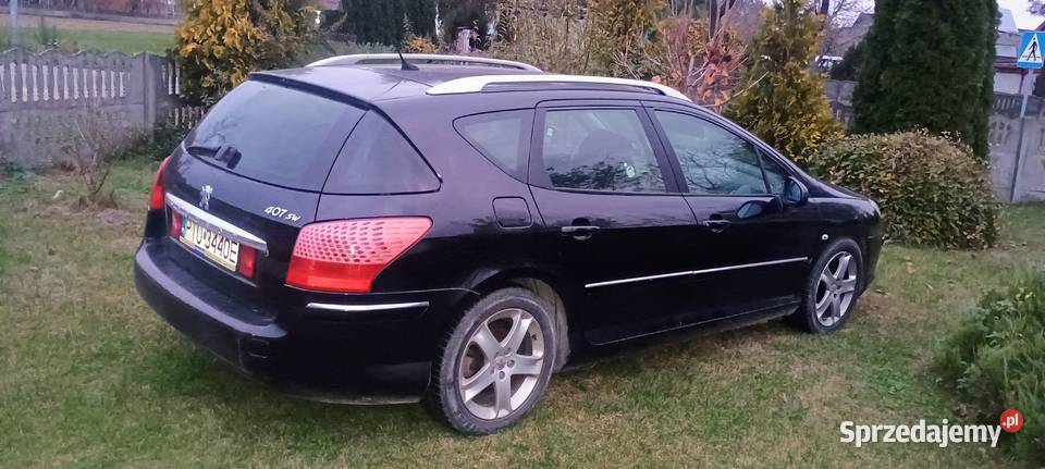 Peugeot 407 wielkopolskie