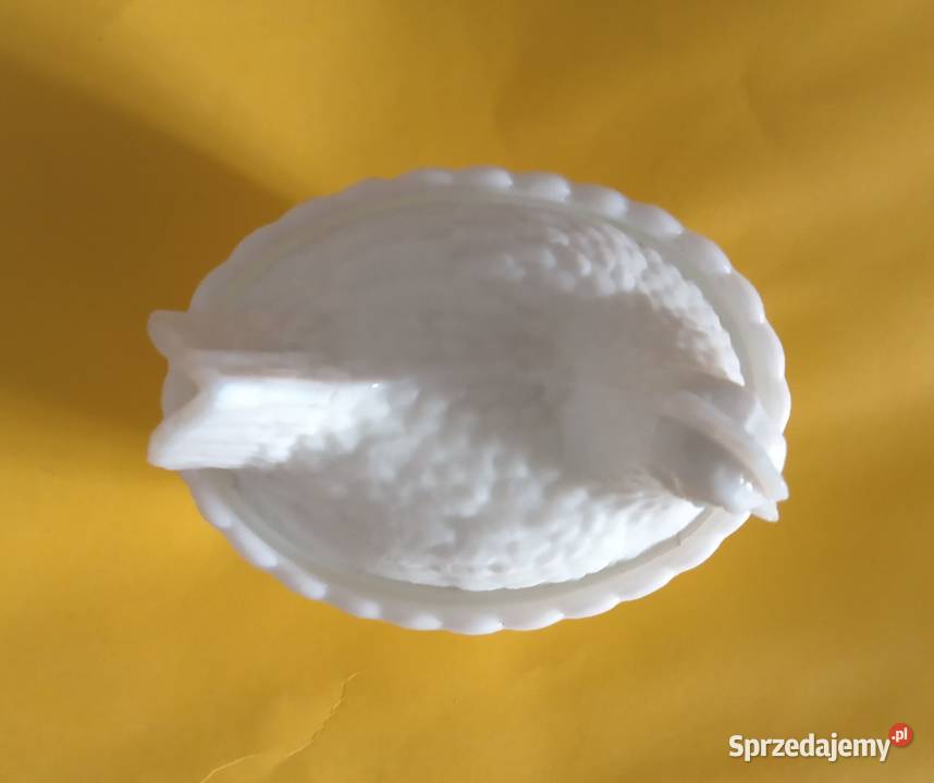 Sprzedam białą kurę na zdjęciach PRL