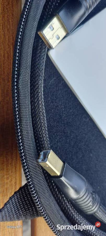 Shunyata Research Alpha usb 1m
