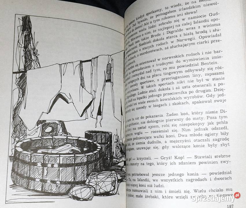 Porwani wikingów Torill Thorstad Hauger lubelskie