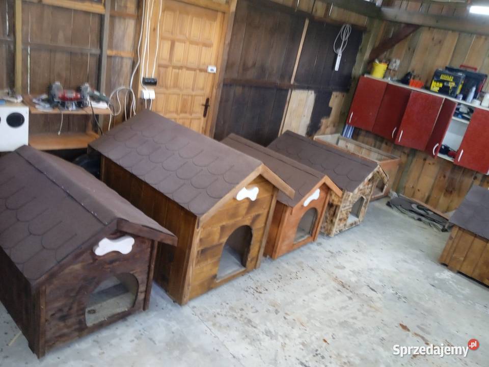 Buda psa 576921028 Mokrelipie