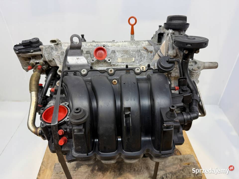 SILNIK BLF Audi A3 II 8P Skoda Octavia II 16 FSI Chełm