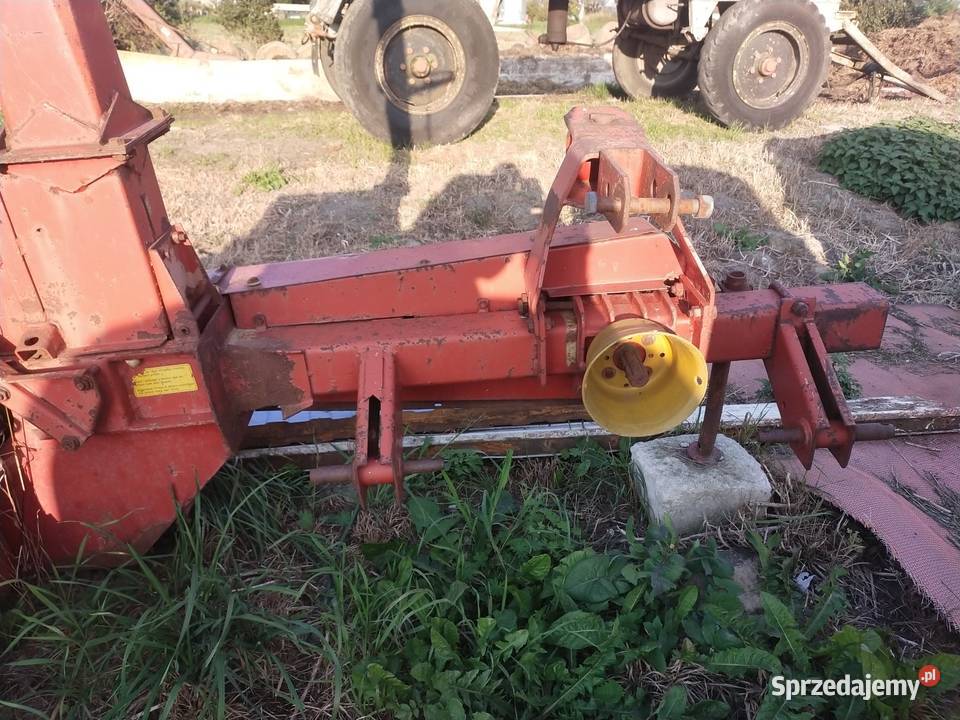 Sieczkarnia do kukurydzy nieuszkodzony Lisewo