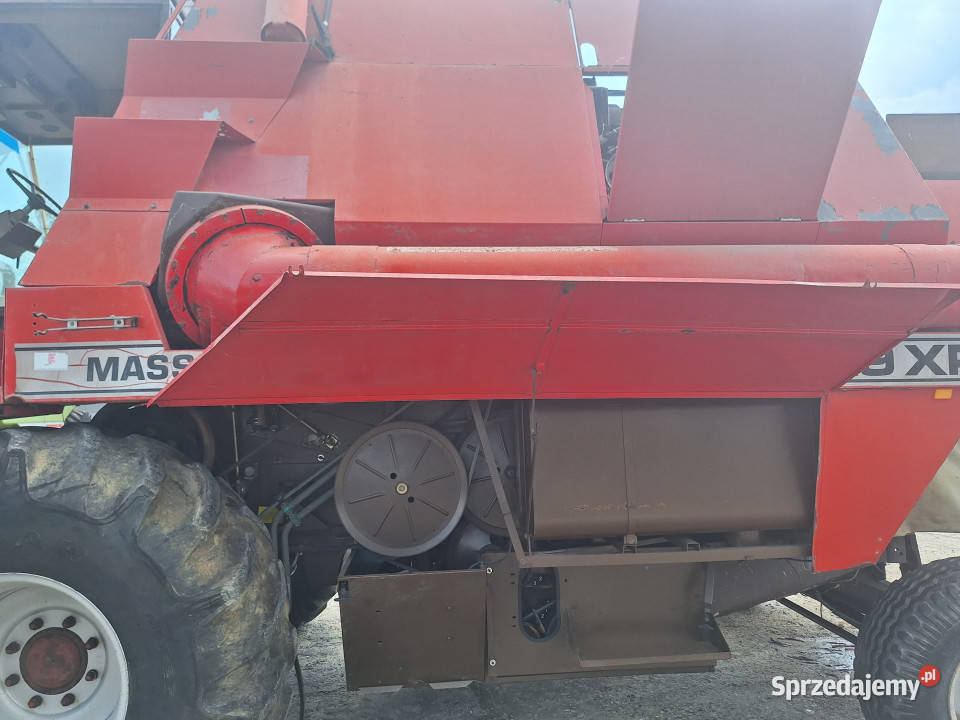 Kombajn zbożowy MasseyFerguson Massey Ferguson Zbożowe wielkopolskie Szlachcin