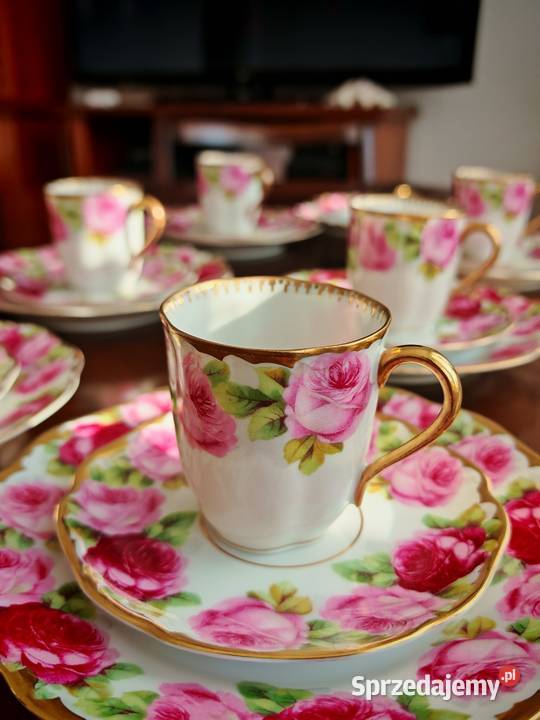 Porcelana rosenthal chrysantheme Cacilie Sandomierz