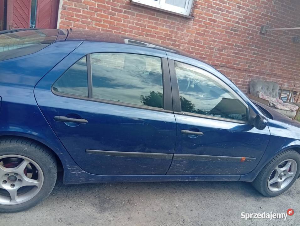 Sprzedam Siennica Różana