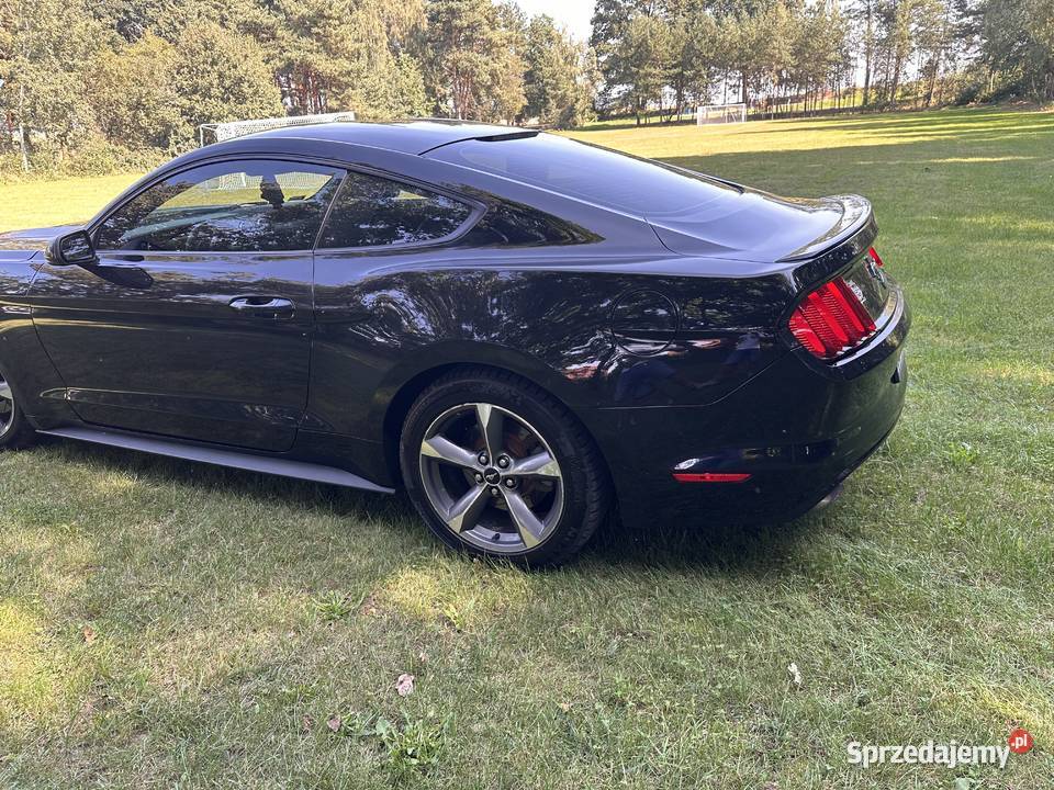 Ford Mustang 37 2015r Rok produkcji 2015 dolnośląskie