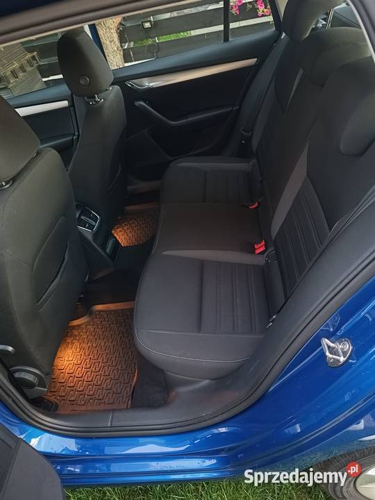 Polski Salon 1 właściciel Gwarancja Bezwypadkowy Bełk