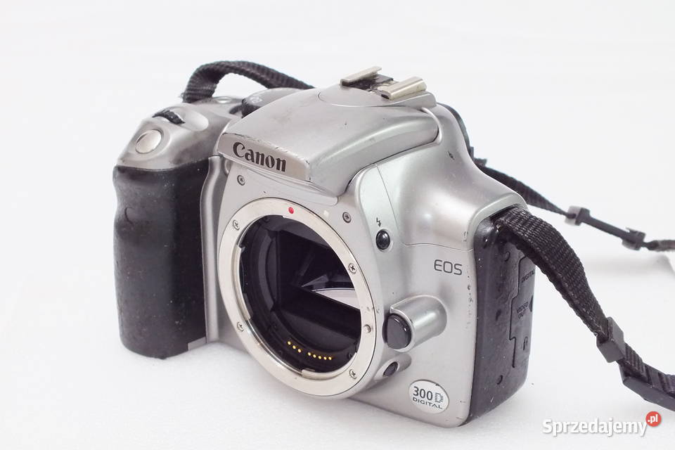 Canon EOS 300 D Lubin
