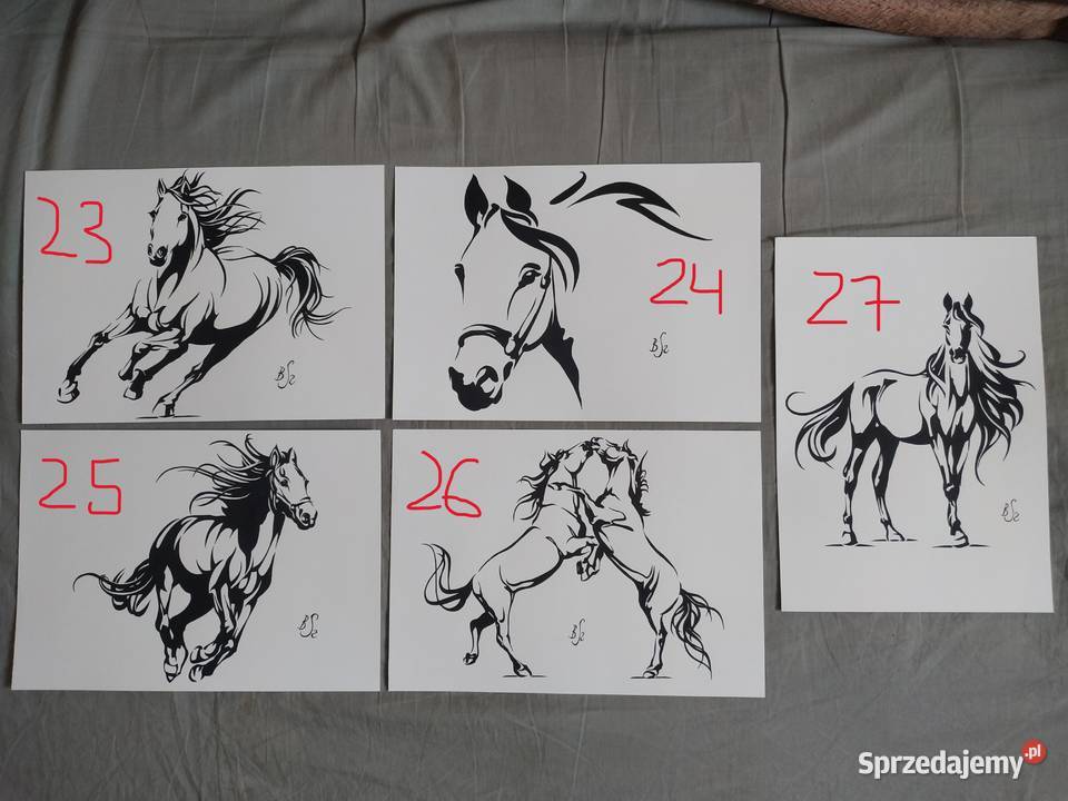 Rysunki seria konie 43 A4 blok t 250 gm2 Warszawa