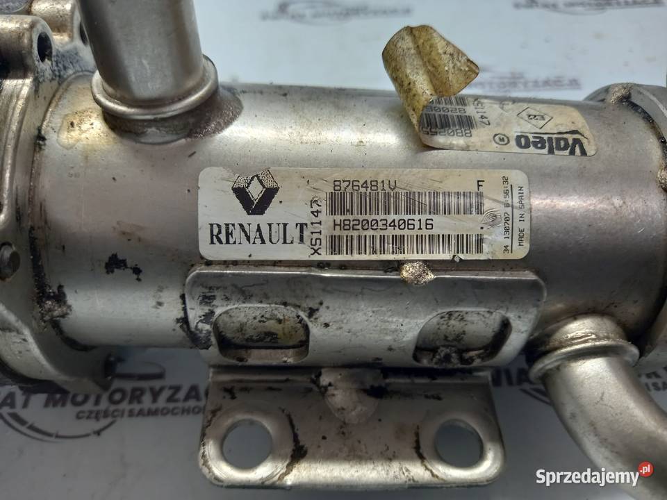 PRIMASTAR TRAFIC 20 DCI M9R780 115 chłodniczka świętokrzyskie