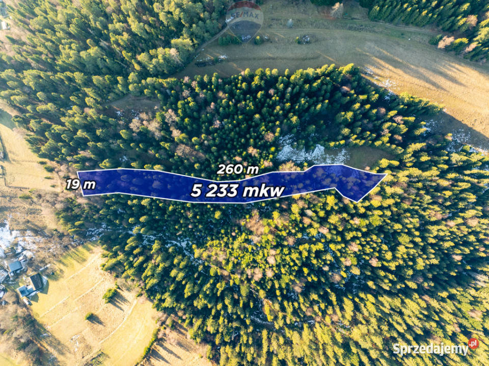 Grunt Harklowa leśna