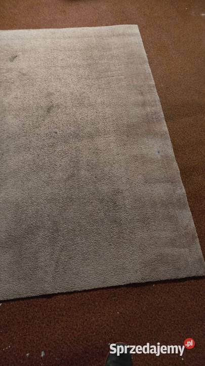 Dywan 195135 pudrowy róż 195m dolnośląskie