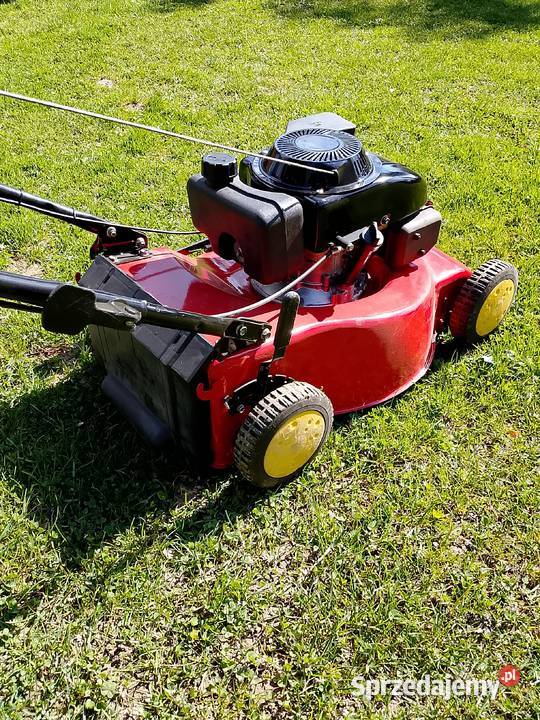 Kosiarka spalinowa Jasło sprzedam